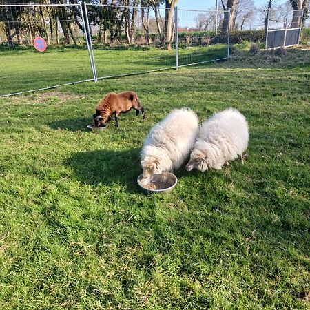 La Ferme Stanczak Lägenhet Tréguier Exteriör bild
